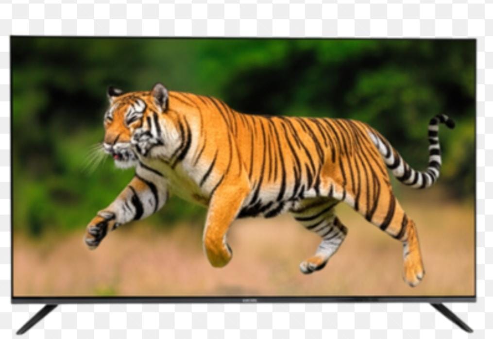 LEXCO 40 inch SMART ANDROID TV